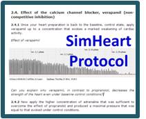 simheartprotocol